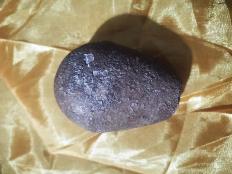 名贵药材狗宝，品相好0几年家狗取出，当时药厂化验给10w