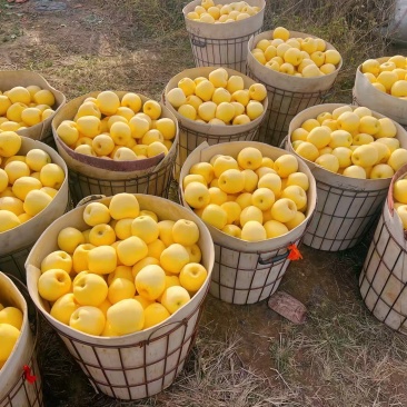 爱马仕