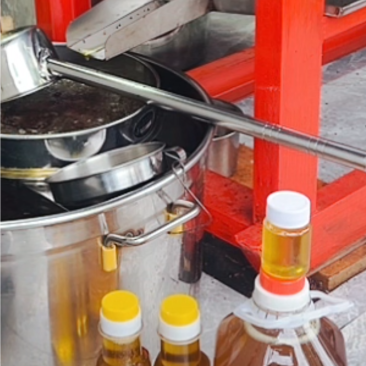 古法压制油茶籽油