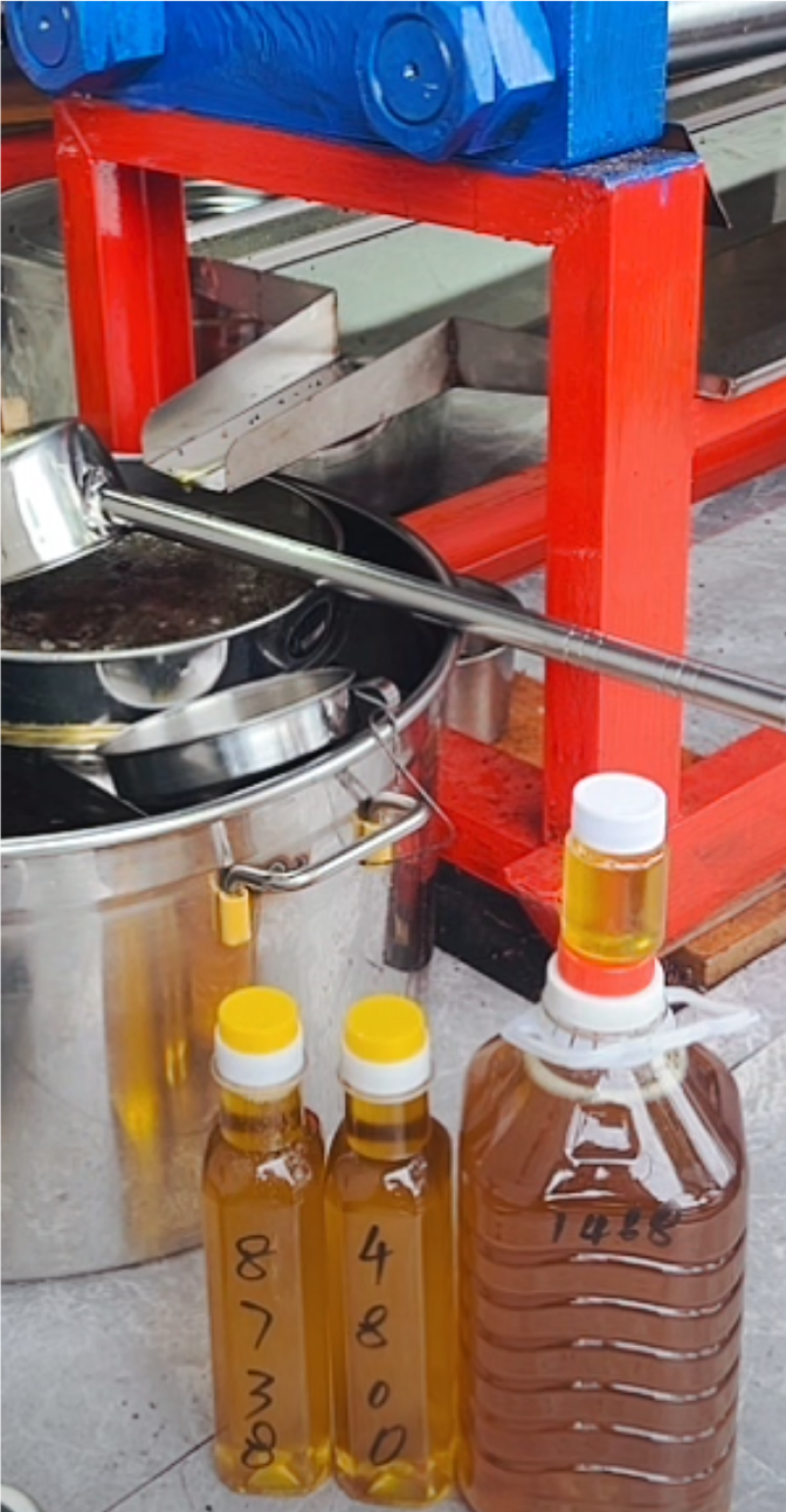 古法压制油茶籽油