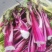 红油菜苔