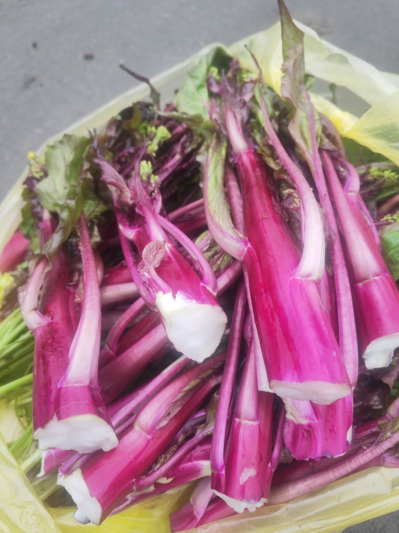 红油菜苔