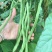 豆角