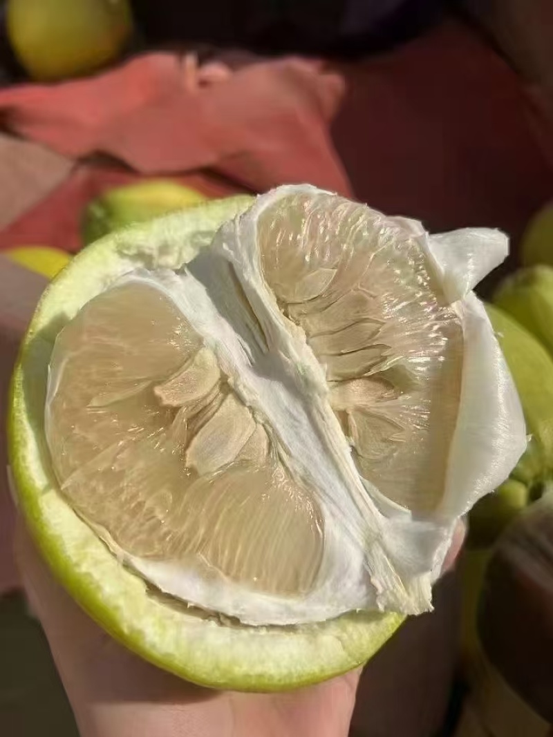 高端质量货，欢迎各位看官批发，一手货源，只做一手