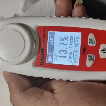 高端质量货，欢迎各位看官批发，一手货源，只做一手
