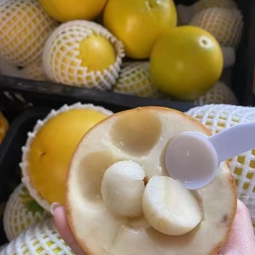 黄晶果精品果产地代办供应