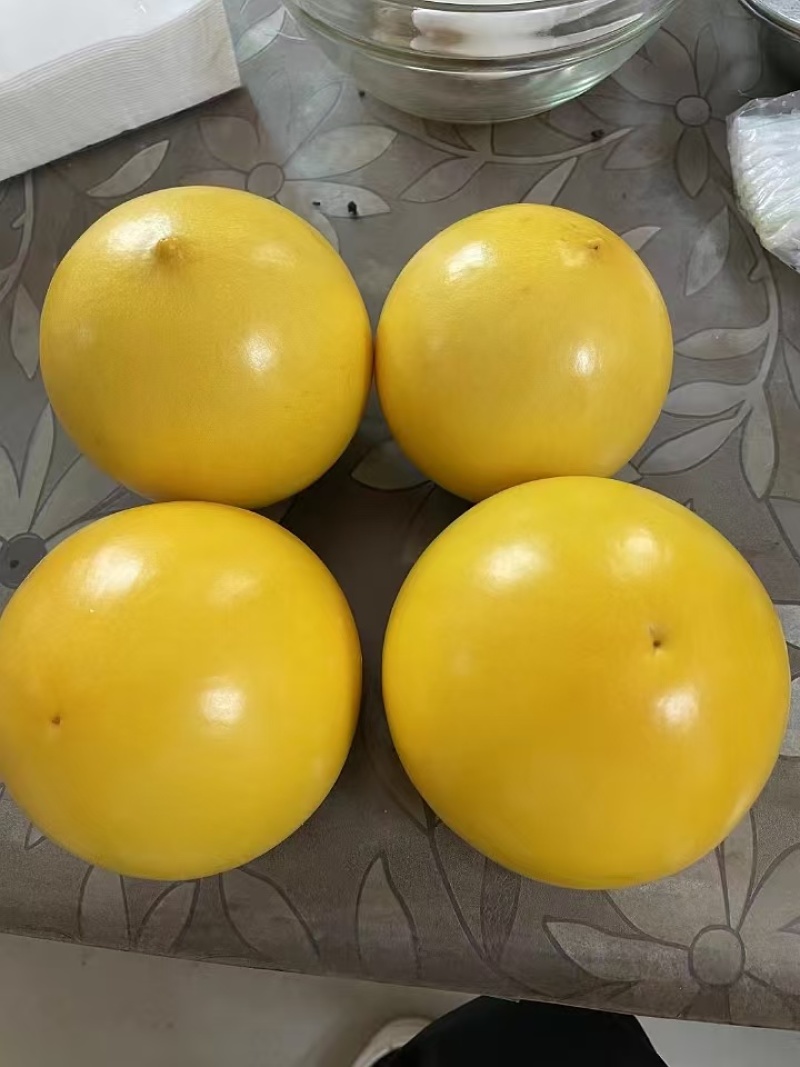 黄晶果精品果产地代办供应
