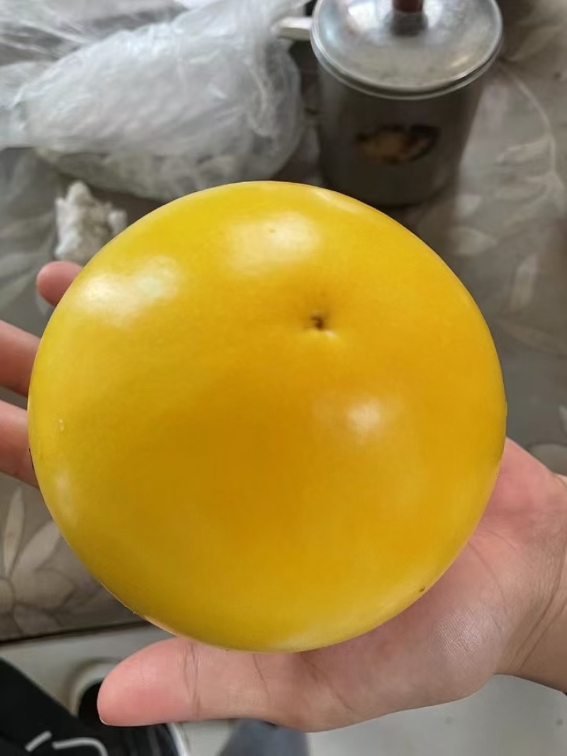 黄晶果精品果产地代办供应