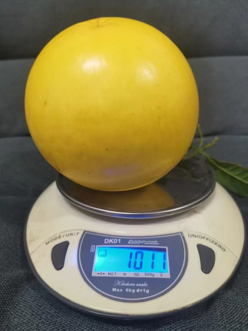 黄晶果精品果产地代办供应