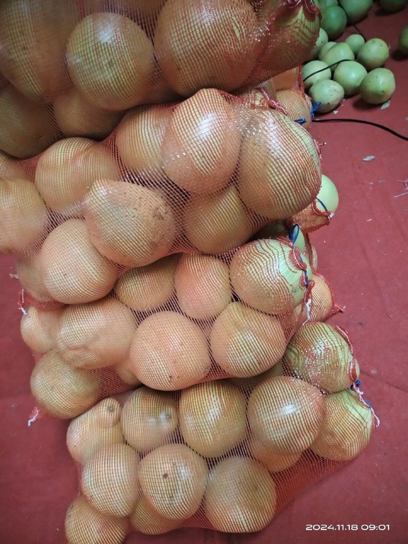红心柚，