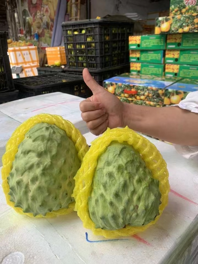 世界上*甜的水果之一凤梨释迦冬季果开始了