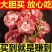加肉羊蝎子品质超好带肉率高全国发货量大可谈