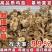 土鸡苗买千送百品种不对全额退款包防疫包运输货到满意