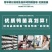 麻鸭苗买千送百品种不对全额退款包防疫包运输货到满意