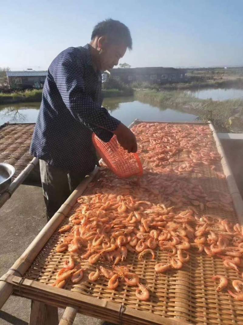 西门岛特色虾干养殖基地，每天新鲜