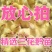 三花鹅苗买千送百品种不对全额退款包防疫包运输货到满