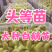 三花鹅苗买千送百品种不对全额退款包防疫包运输货到满