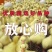 三花鹅苗买千送百品种不对全额退款包防疫包运输货到满