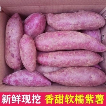 【香甜粉糯】沙地新鲜紫薯番薯紫心蜜薯红薯地瓜蔬菜批发包邮