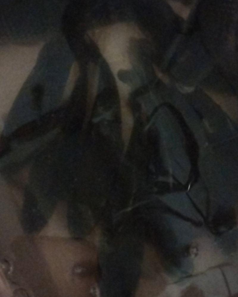 7两之一斤的鲫鱼