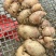 阳春双滘沙姜