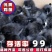 五黑鸡苗买1000送100品种不对全额退款包防疫包运