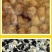 三黄鸡苗买1000送100品种不对全额退款包防疫包运