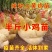 三黄鸡苗买1000送100品种不对全额退款包防疫包运