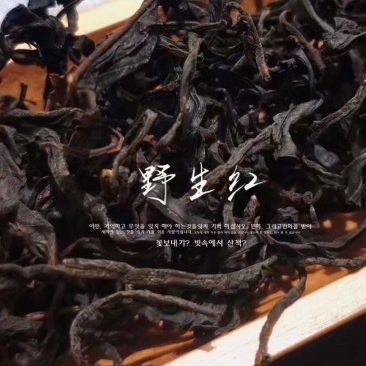 云南野生古树滇红