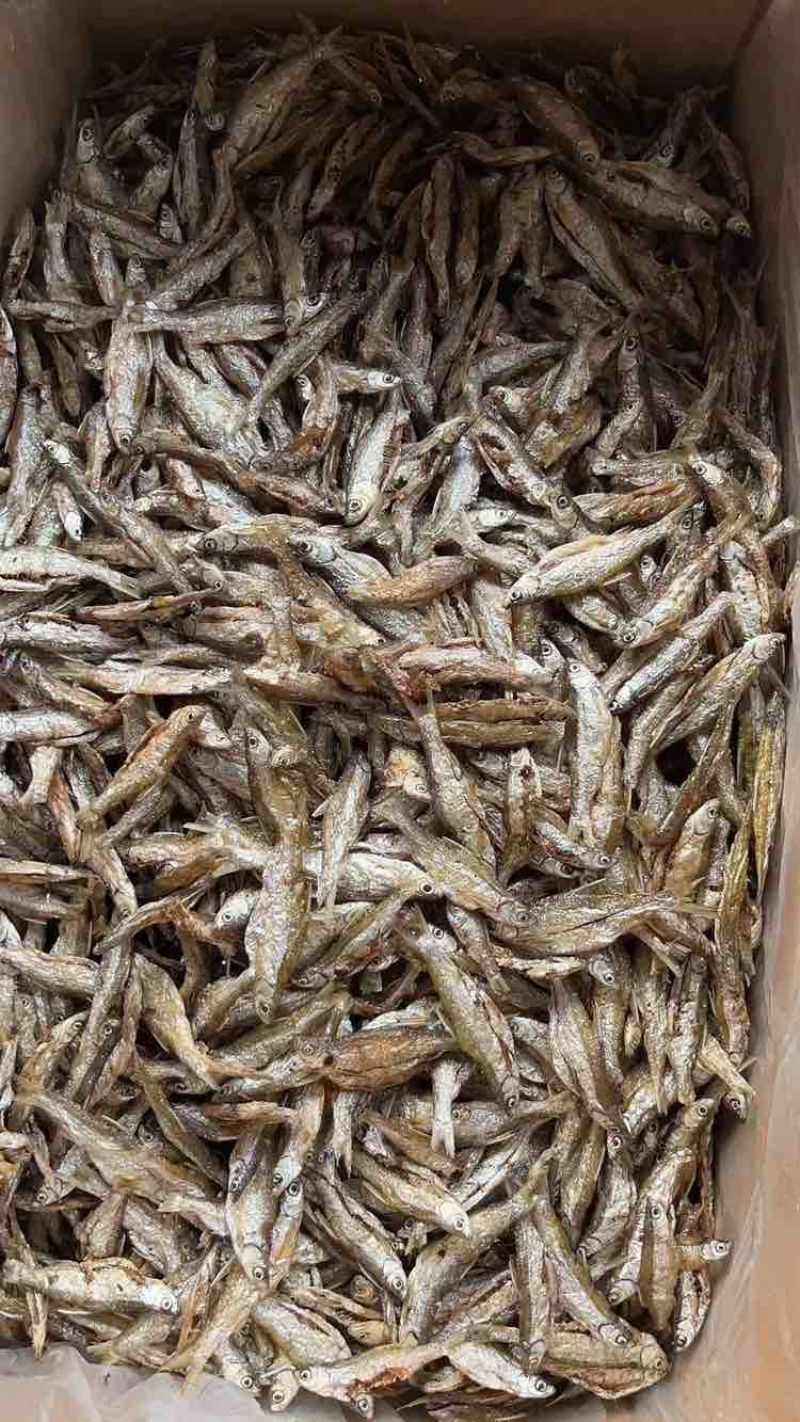 油炸白肖货源可靠质量优价格实惠批发
