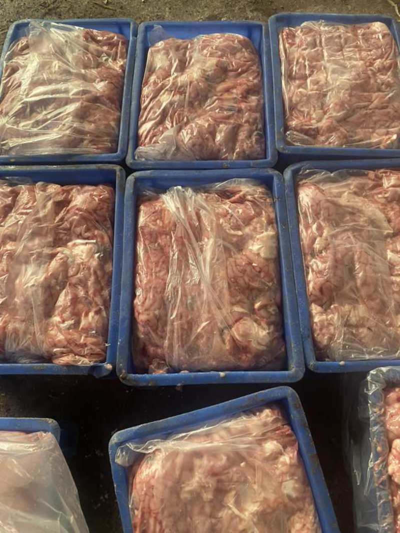 山东精品羊脑，新鲜供应厂家直发量大从优价格实惠