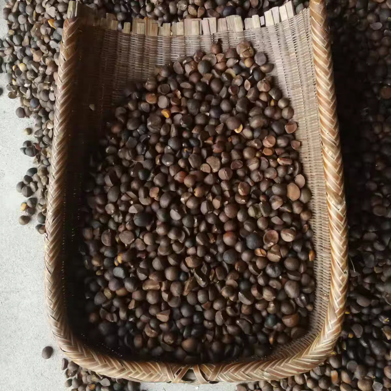山茶油