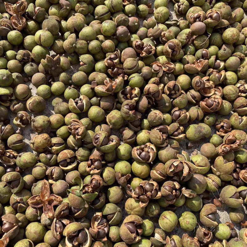 山茶油