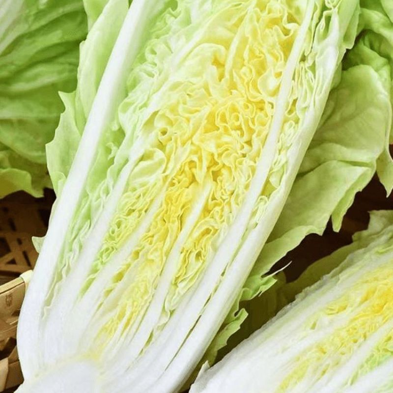 本地黄芽菜