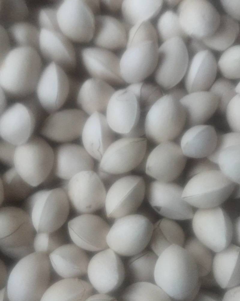 银杏果白果