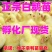 三花鹅苗包防疫包运输货到满意付款诚信服务