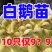 三花鹅苗包防疫包运输货到满意付款诚信服务