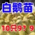 三花鹅苗包防疫包运输货到满意付款诚信服务