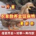 金锭鸭苗买1000送100包防疫包运输货到满意付款