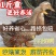 金锭鸭苗买1000送100包防疫包运输货到满意付款