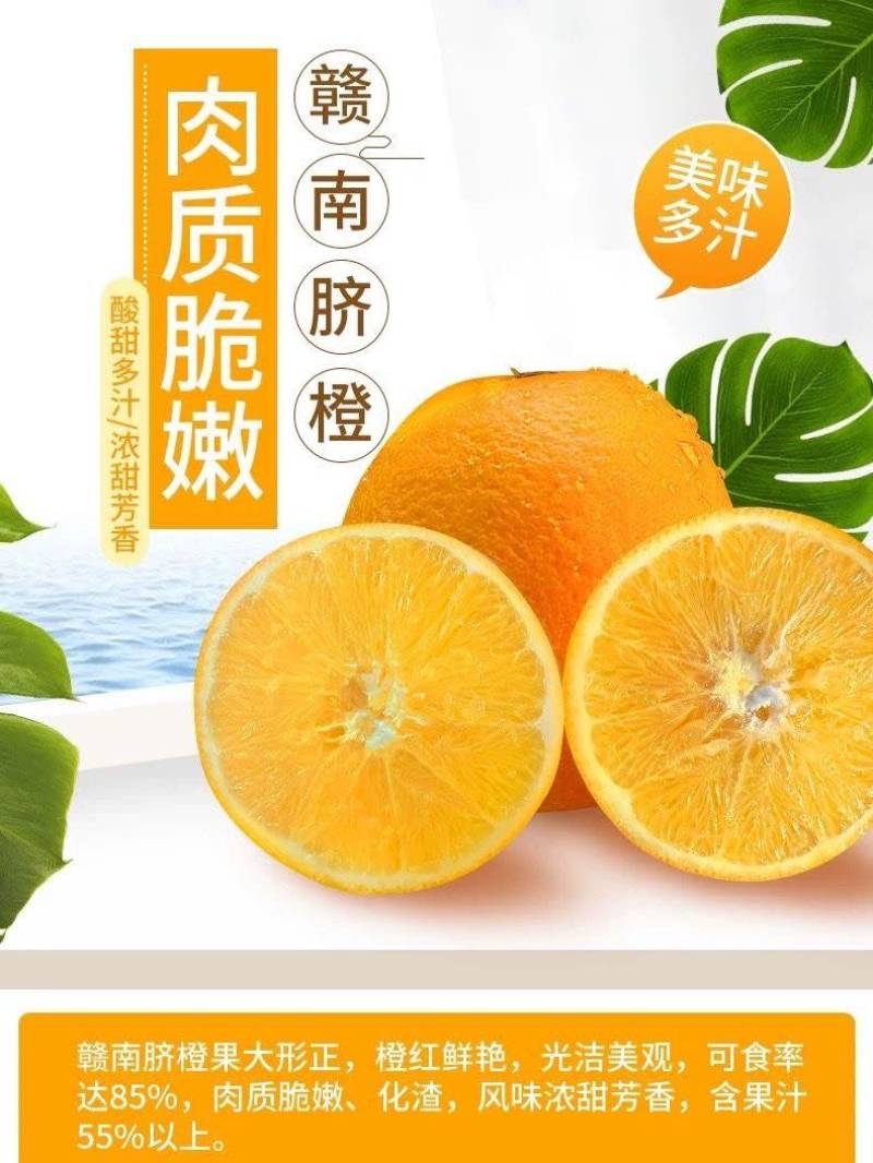 【正宗赣南脐橙】赣南脐橙新鲜橙子产地直发江西脐橙