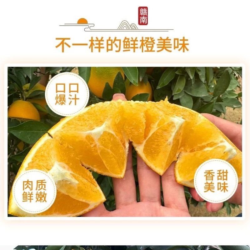 【正宗赣南脐橙】赣南脐橙新鲜橙子产地直发江西脐橙