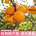 【正宗赣南脐橙】赣南脐橙新鲜橙子产地直发江西脐橙