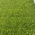 50白菜，苗清秀无病，价格实惠，需要的老板可以联系了