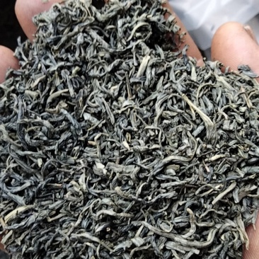 炒青春茶