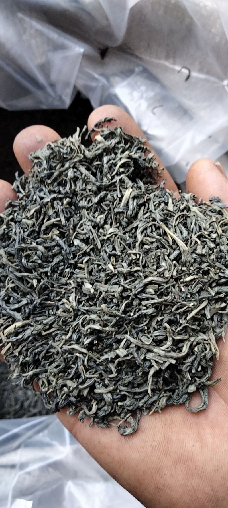 炒青春茶