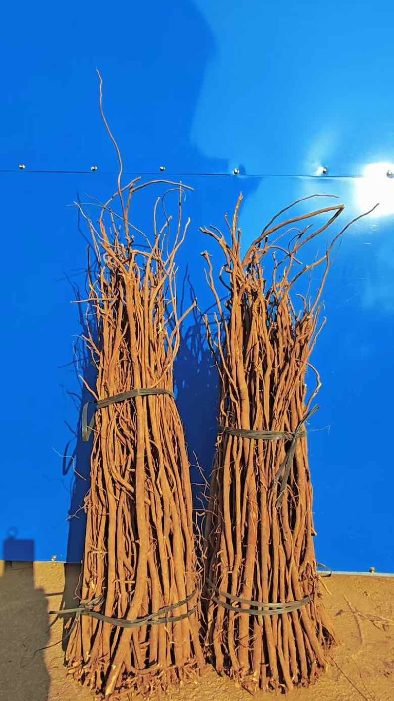 小叶红皮千斤拔干货