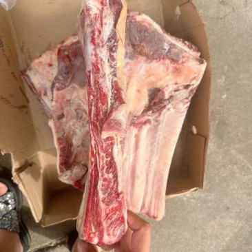 加厚牛肋排
