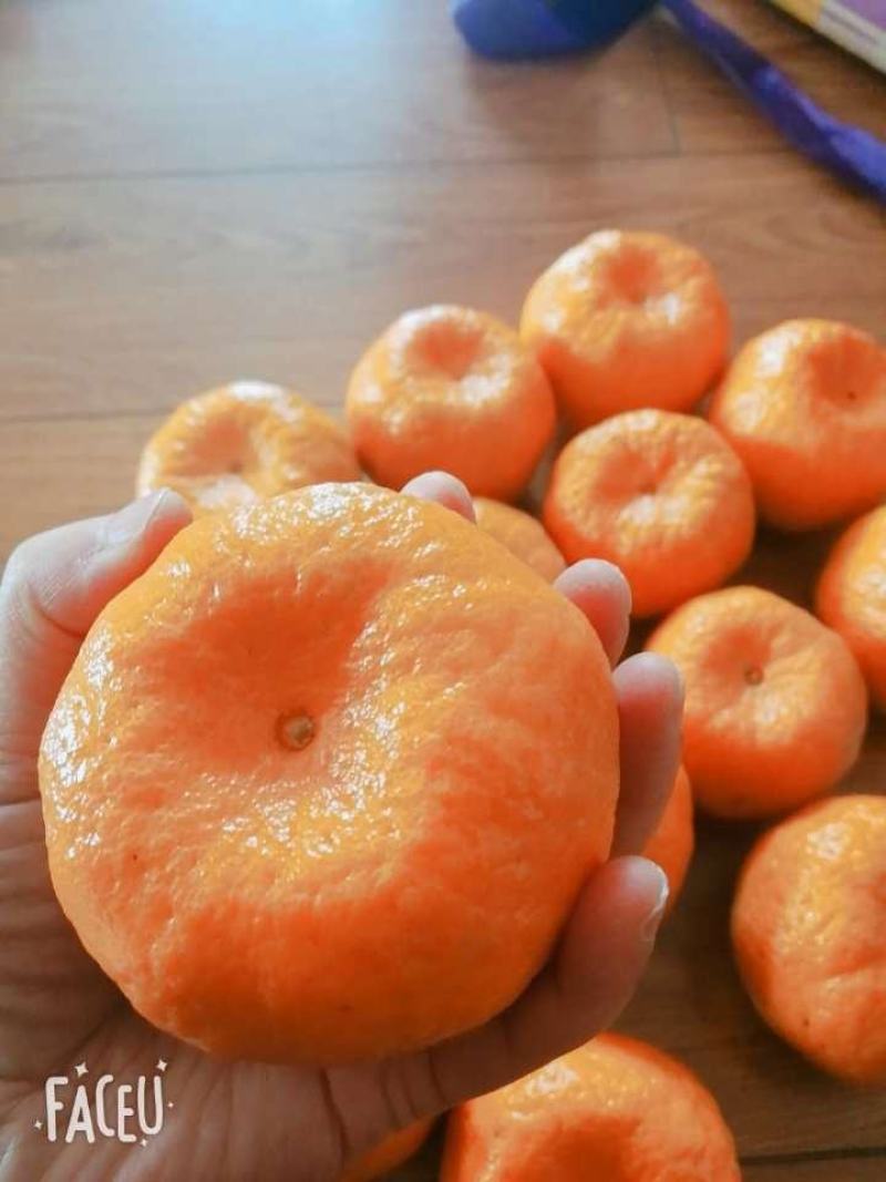 湖北椪柑货源充足保证质量一件代发全国