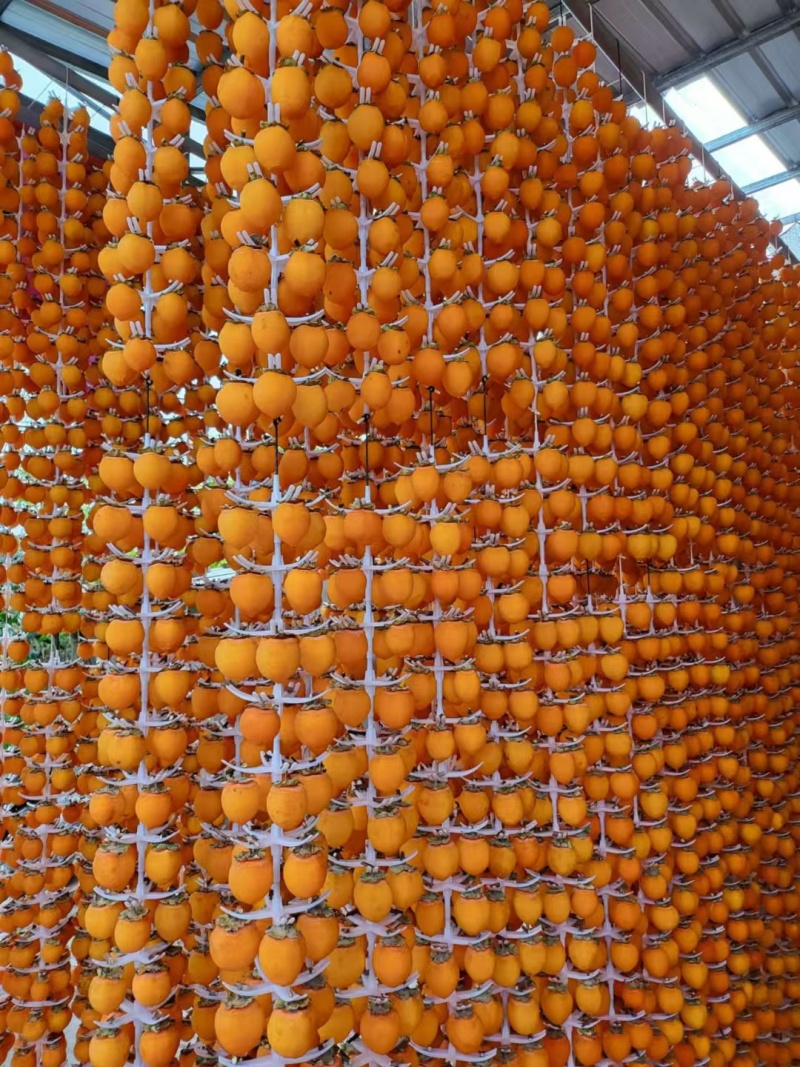 陕西富平柿饼